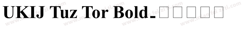 UKIJ Tuz Tor Bold字体转换